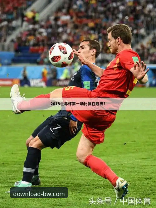 宝威体育手机版下载为何成为运动爱好者首选？从安装到体验全面解析